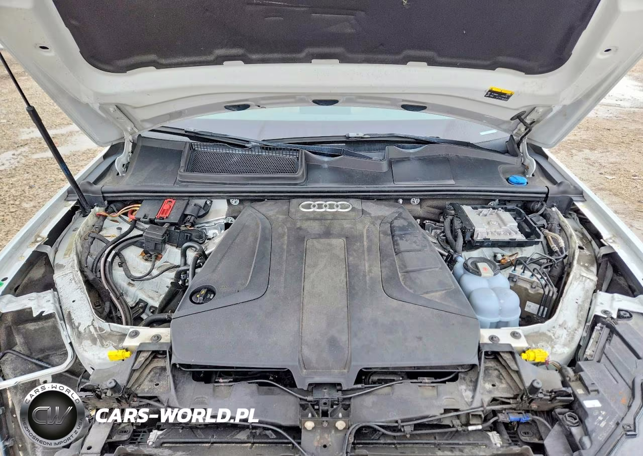 2019 Audi Q7 Premium Plus VIN:WA1LHAF78KD024441 - 12
