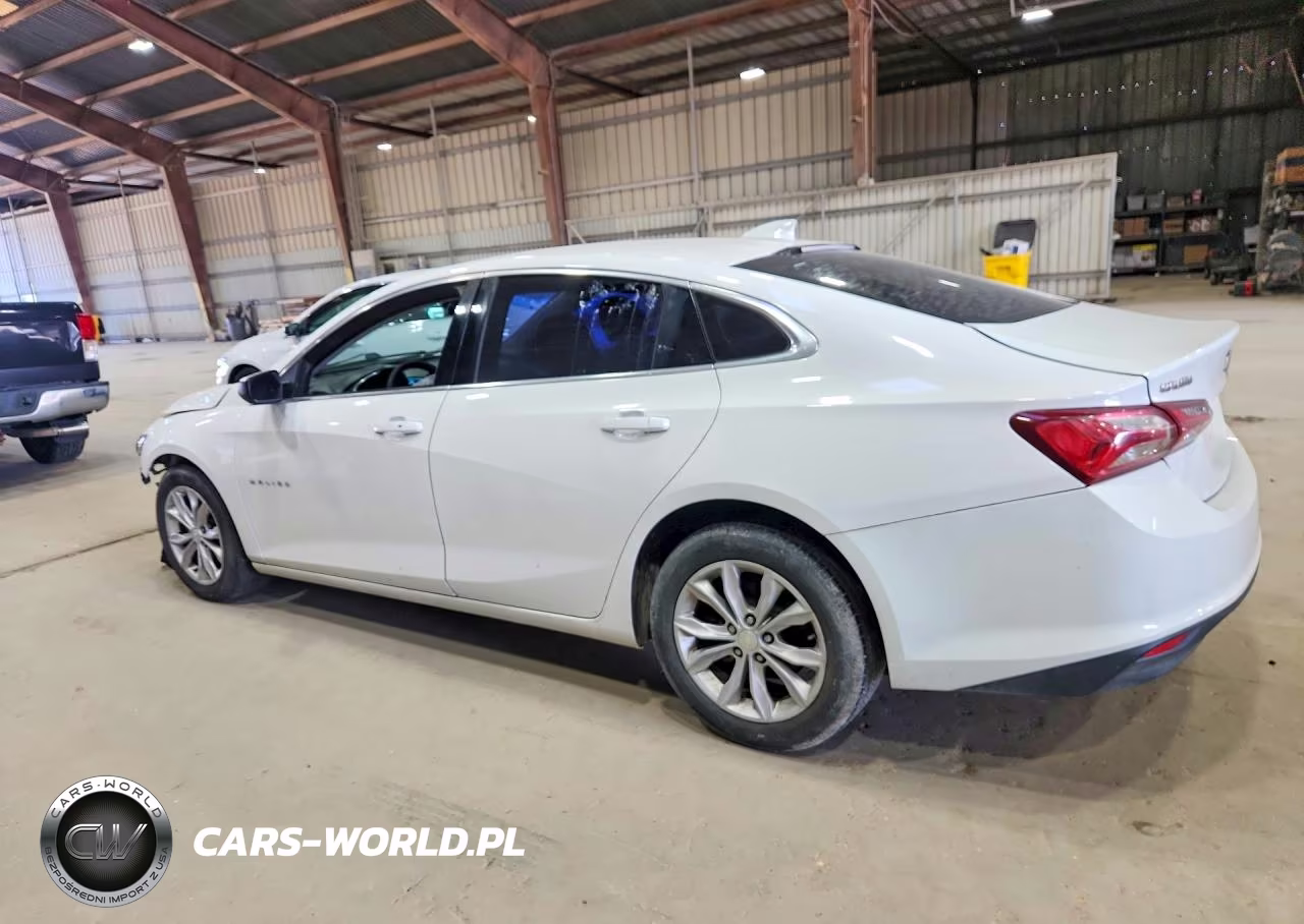 2019 Chevrolet Malibu Lt VIN:1G1ZD5ST7KF135985 - 2