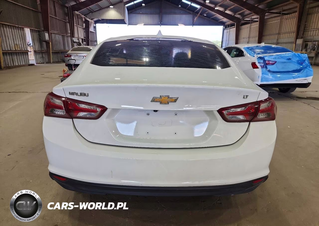 2019 Chevrolet Malibu Lt VIN:1G1ZD5ST7KF135985 - 6