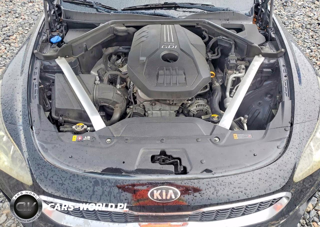 2019 Kia Stinger Premium VIN:KNAE25LA1K6047066 - 11