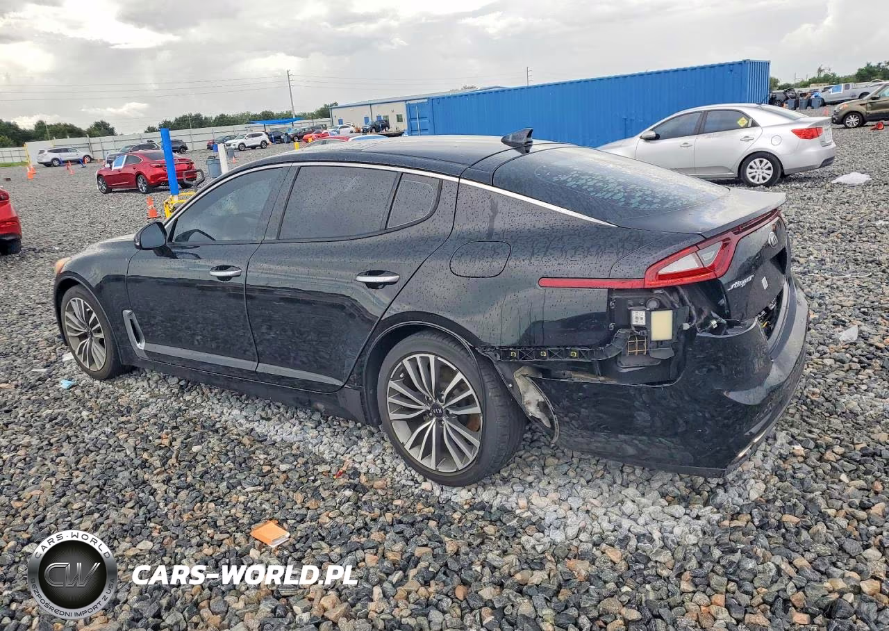 2019 Kia Stinger Premium VIN:KNAE25LA1K6047066 - 2