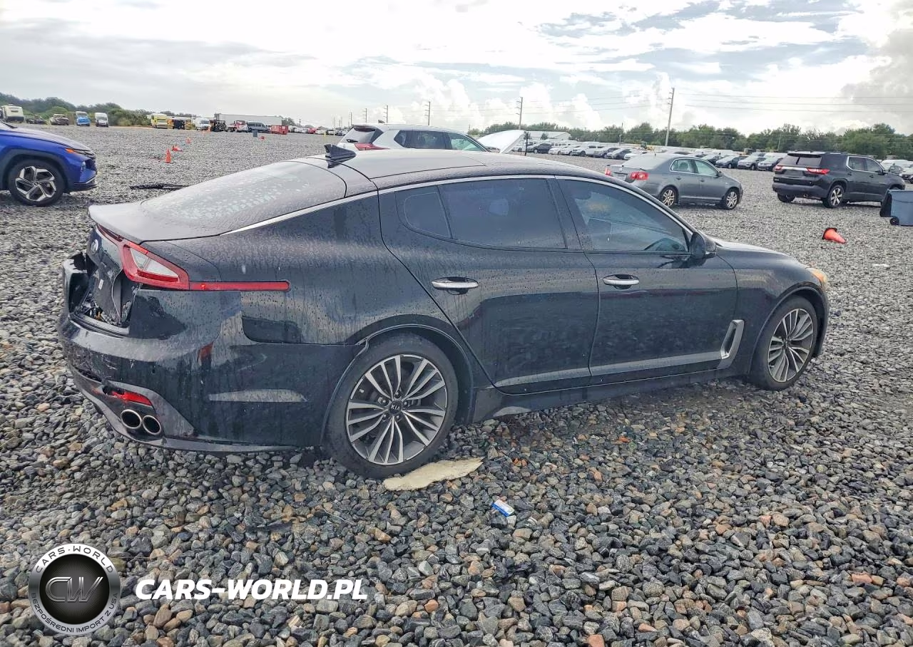 2019 Kia Stinger Premium VIN:KNAE25LA1K6047066 - 3