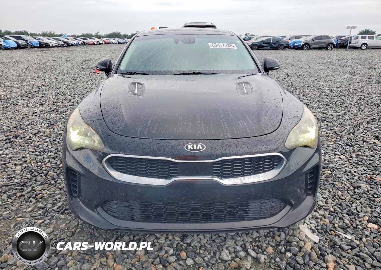 2019 Kia Stinger Premium VIN:KNAE25LA1K6047066 - 5