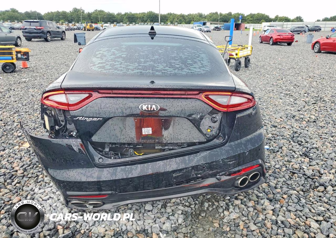 2019 Kia Stinger Premium VIN:KNAE25LA1K6047066 - 6