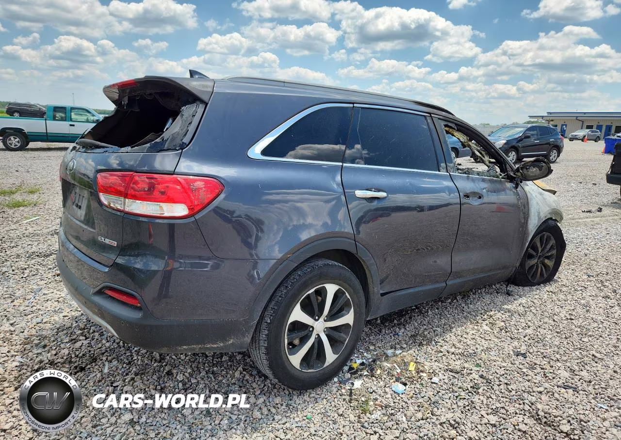 2016 Kia Sorento Ex VIN:5XYPH4A14GG012081 - 3