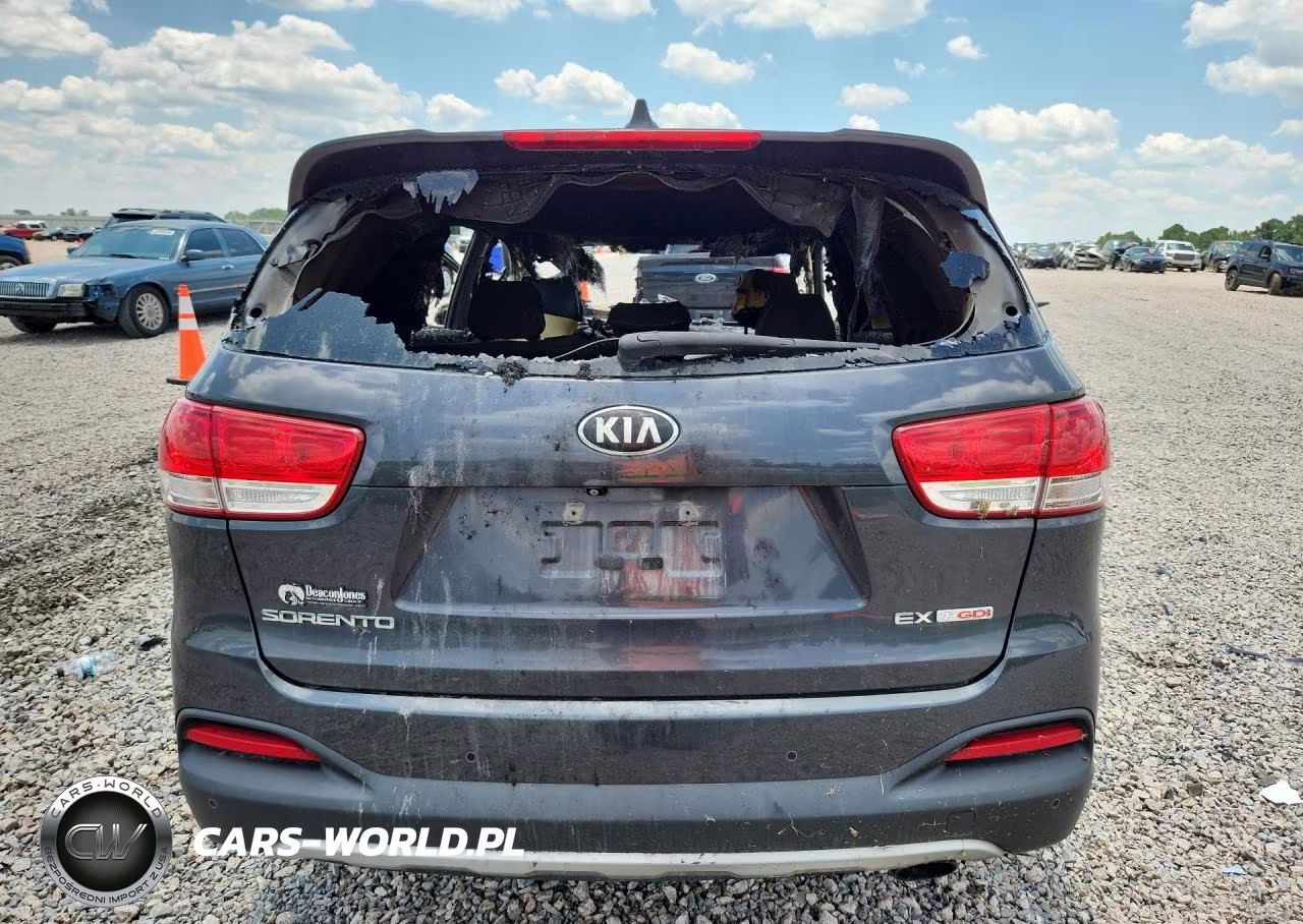 2016 Kia Sorento Ex VIN:5XYPH4A14GG012081 - 6