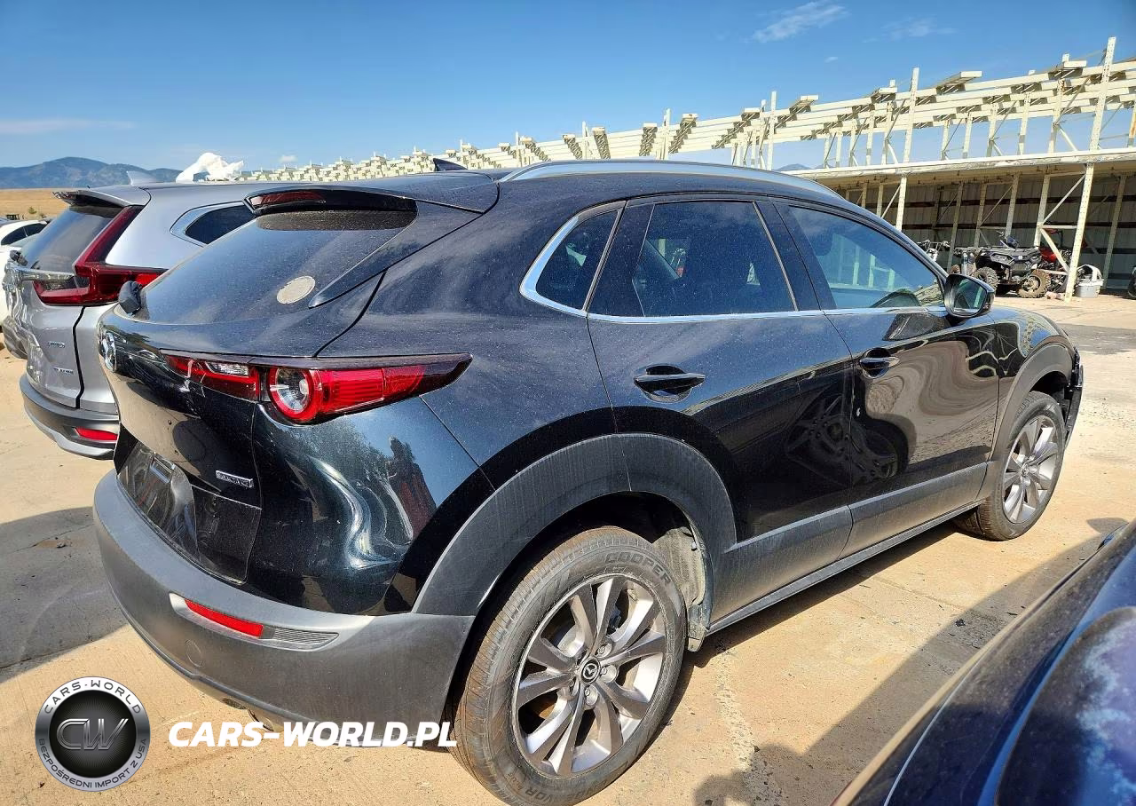 2022 Mazda Cx-30 Premium VIN:3MVDMBDL9NM405167 - 3