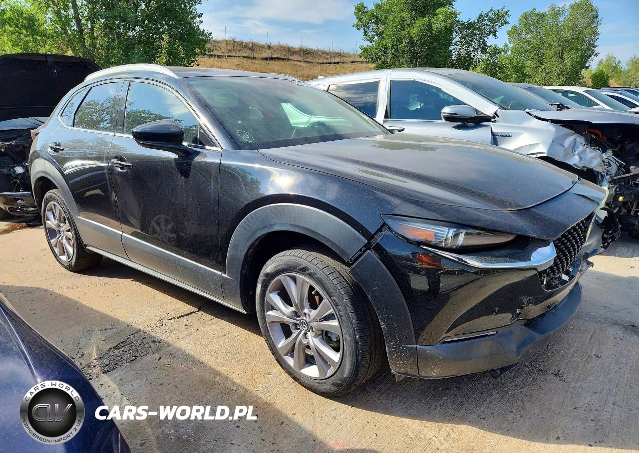 2022 Mazda Cx-30 Premium VIN:3MVDMBDL9NM405167 - 4