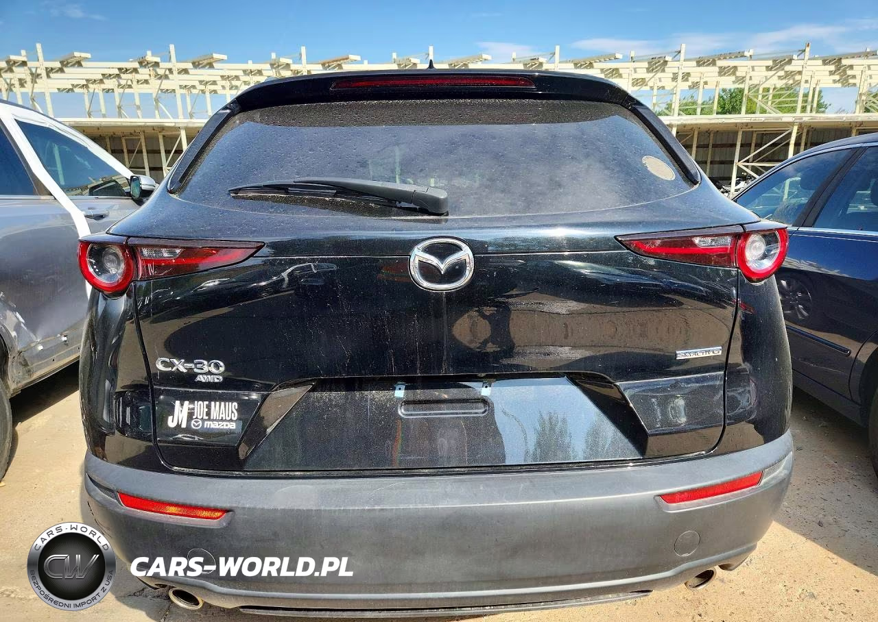 2022 Mazda Cx-30 Premium VIN:3MVDMBDL9NM405167 - 6