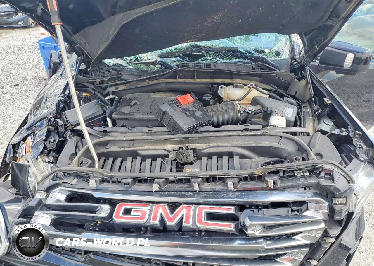 2021 GMC Sierra K1500 At4 VIN:3GTP9EED8MG410012 - 11