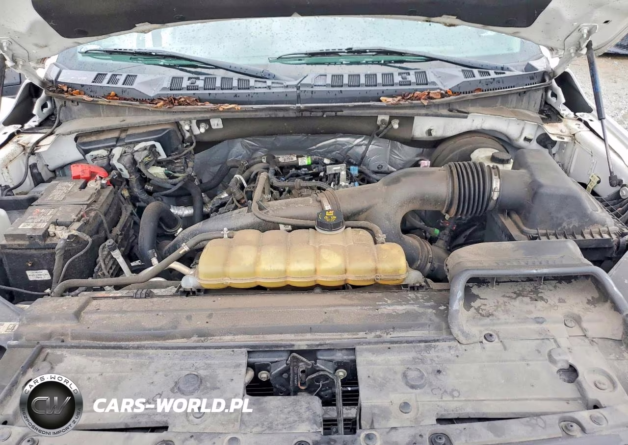 2020 Ford F150 Supercrew VIN:1FTEW1CP3LKF51907 - 11