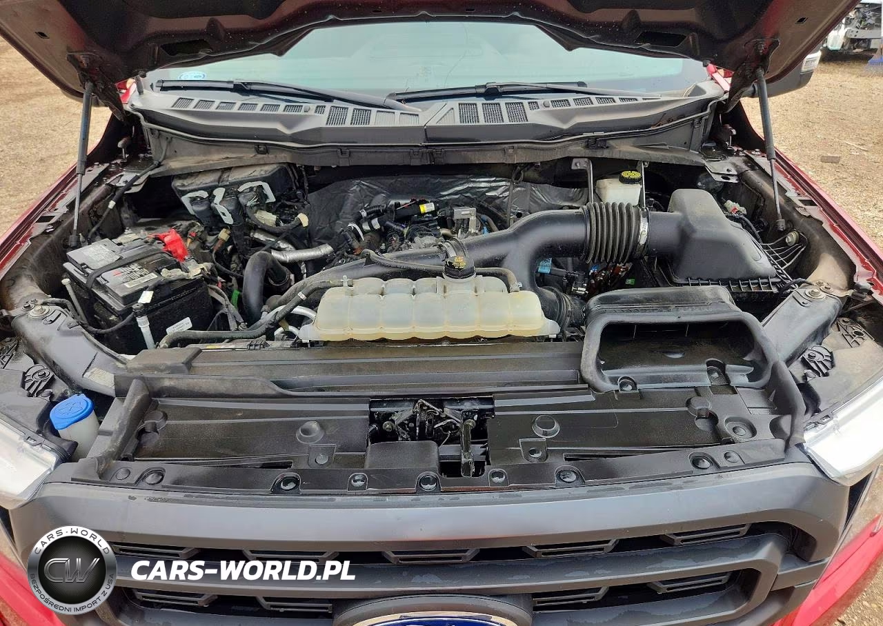 2021 Ford F150 Supercrew VIN:1FTEW1EP5MKE63150 - 11
