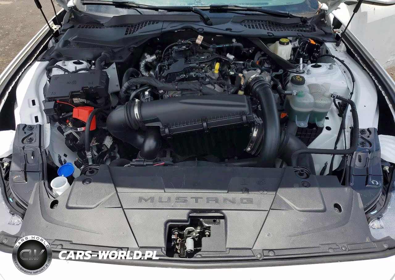 2024 Ford Mustang VIN:1FAGP8UHXR5129572 - 11