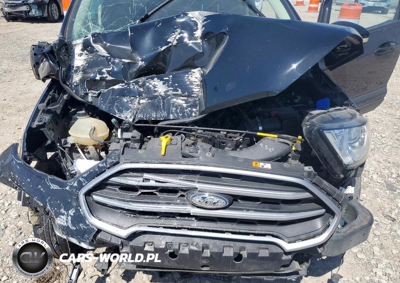 2020 Ford Ecosport Se VIN:MAJ6S3GL6LC394876 - 11