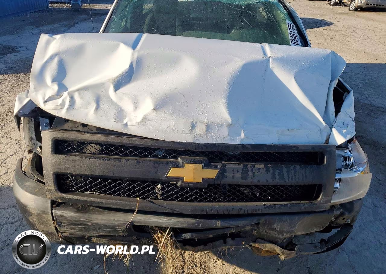 2012 Chevrolet Silverado C1500 VIN:1GCNCPEX3CZ291086 - 11