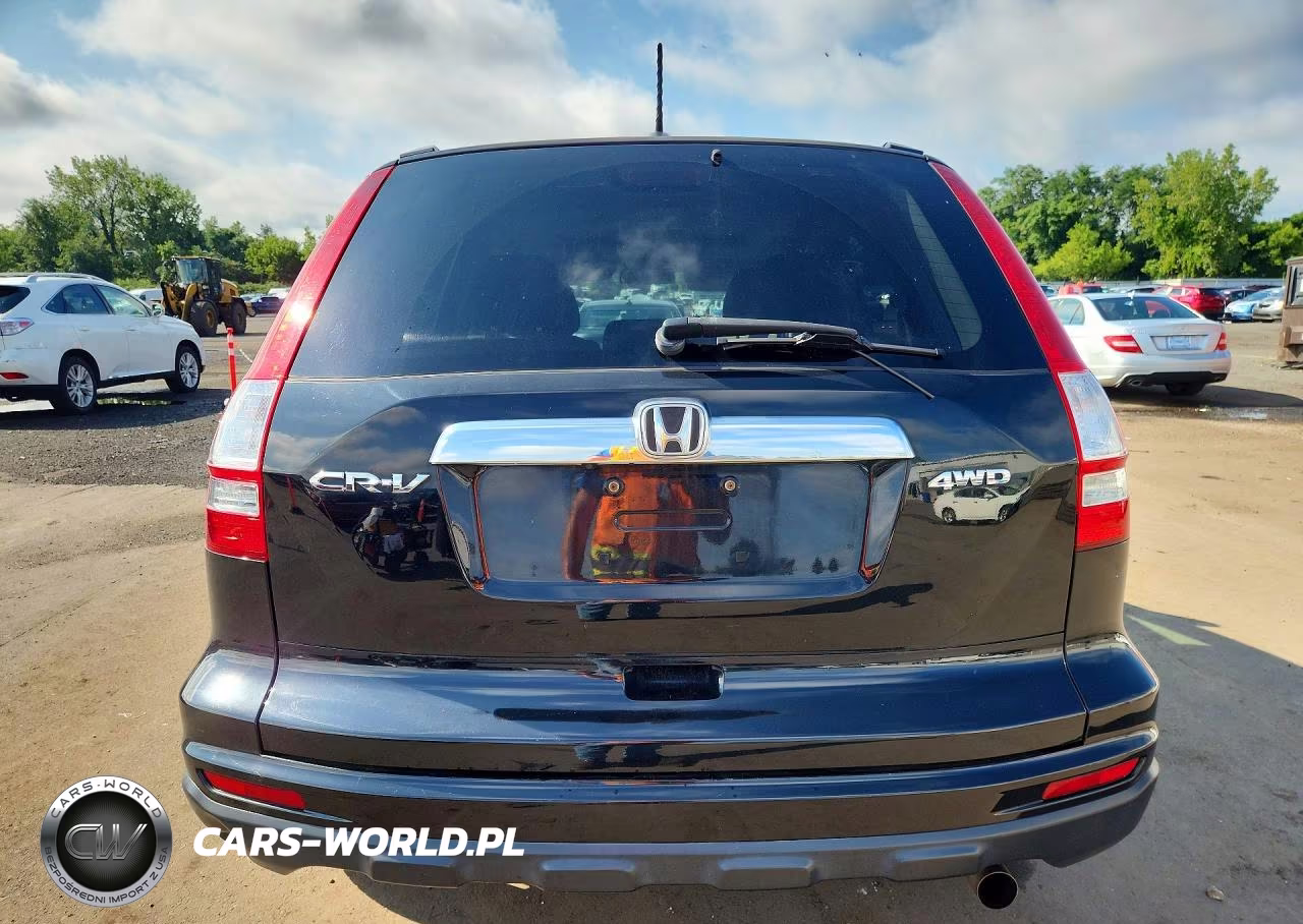 2010 Honda Cr-V Exl VIN:5J6RE4H73AL047504 - 6