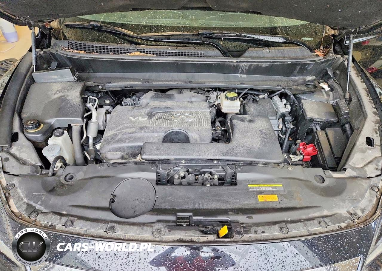 2019 Infiniti Qx60 Luxe VIN:5N1DL0MM8KC565356 - 12