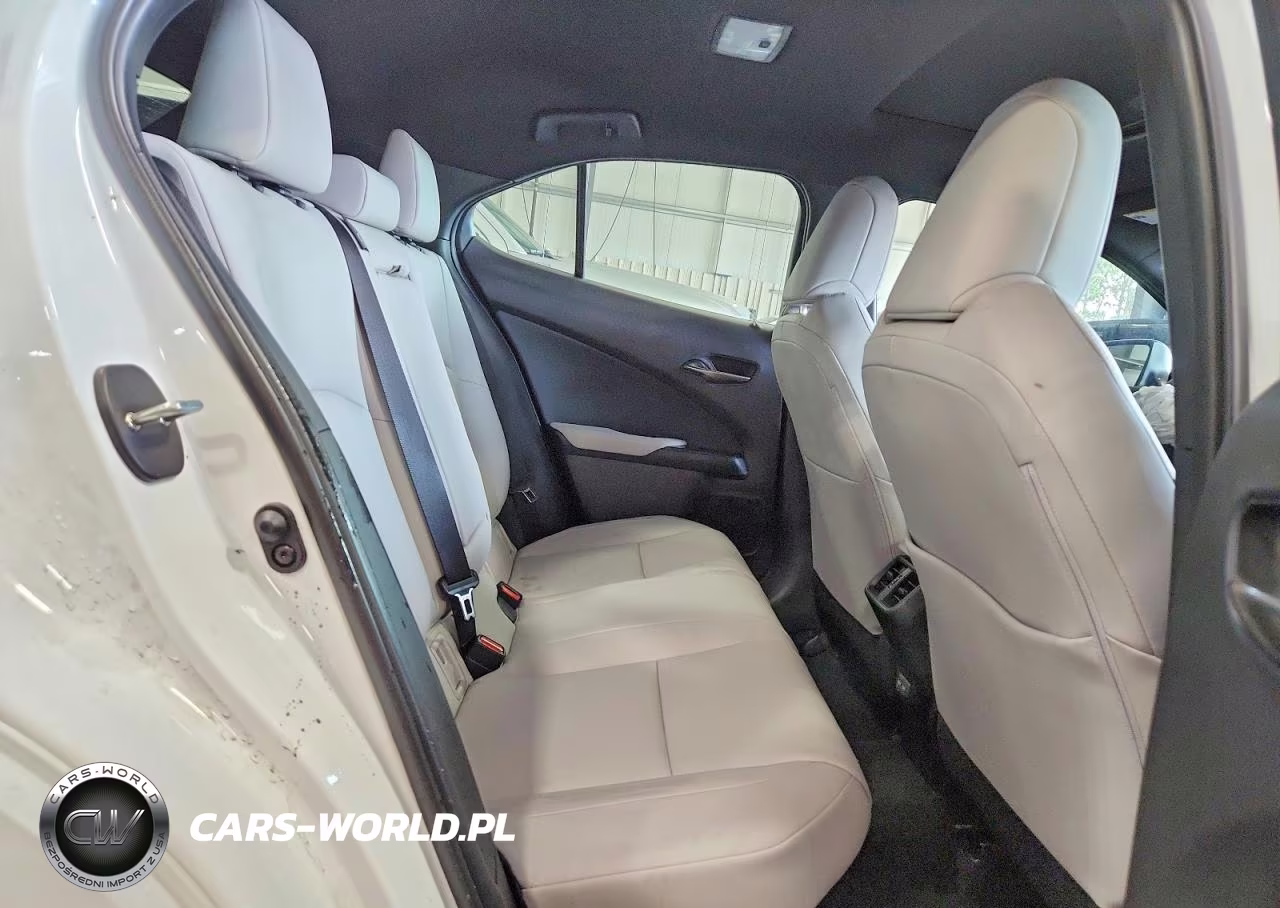 2025 Lexus Ux 300H F Sport Design VIN:JTHUCJDH7S2006396 - 10