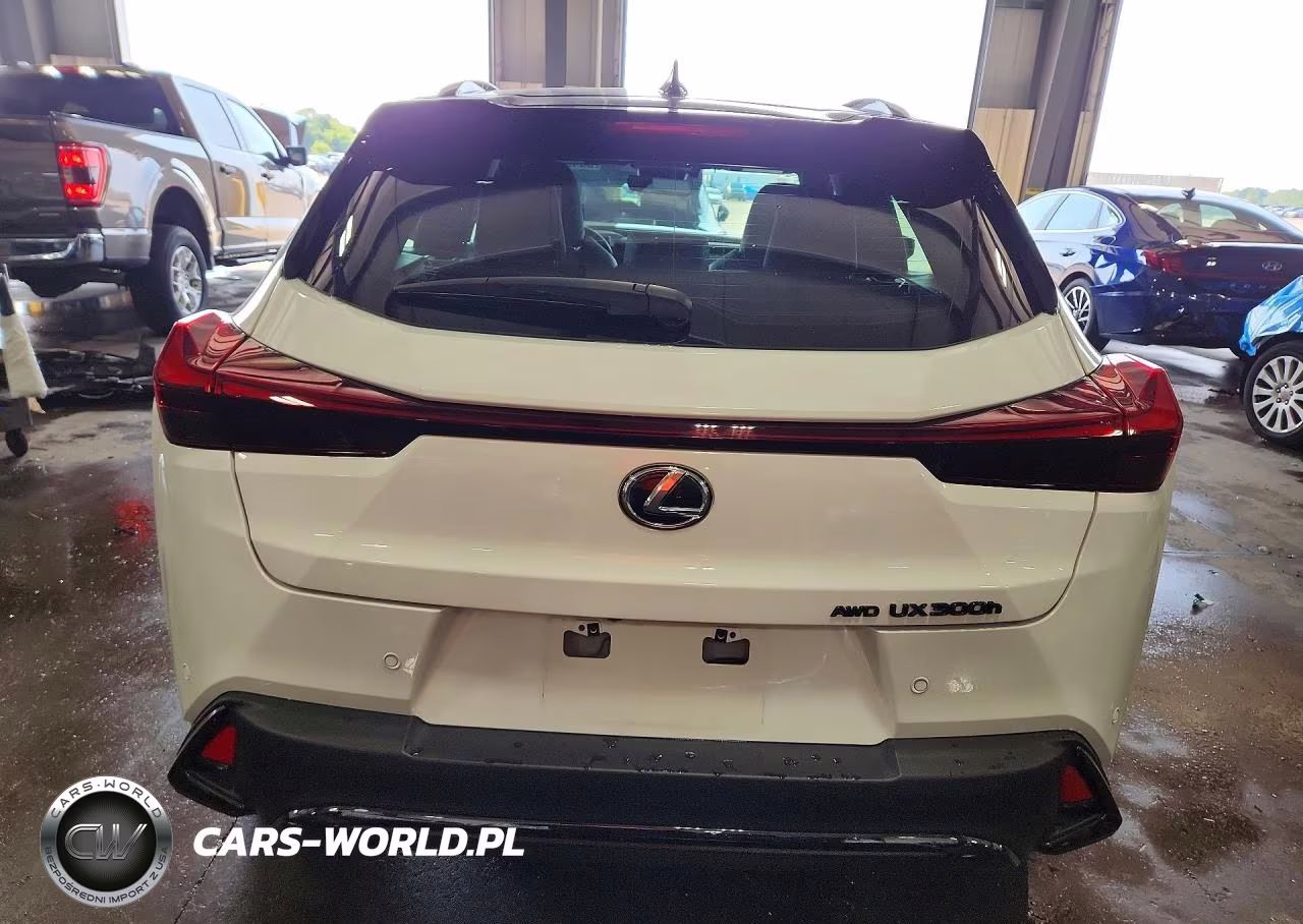 2025 Lexus Ux 300H F Sport Design VIN:JTHUCJDH7S2006396 - 6