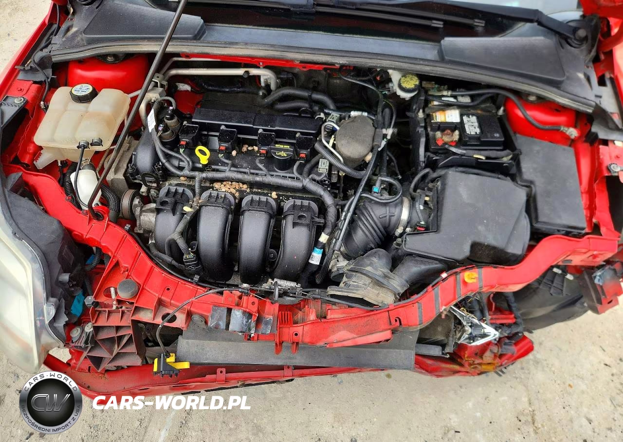 2013 Ford Focus Se VIN:1FADP3F24DL132843 - 11