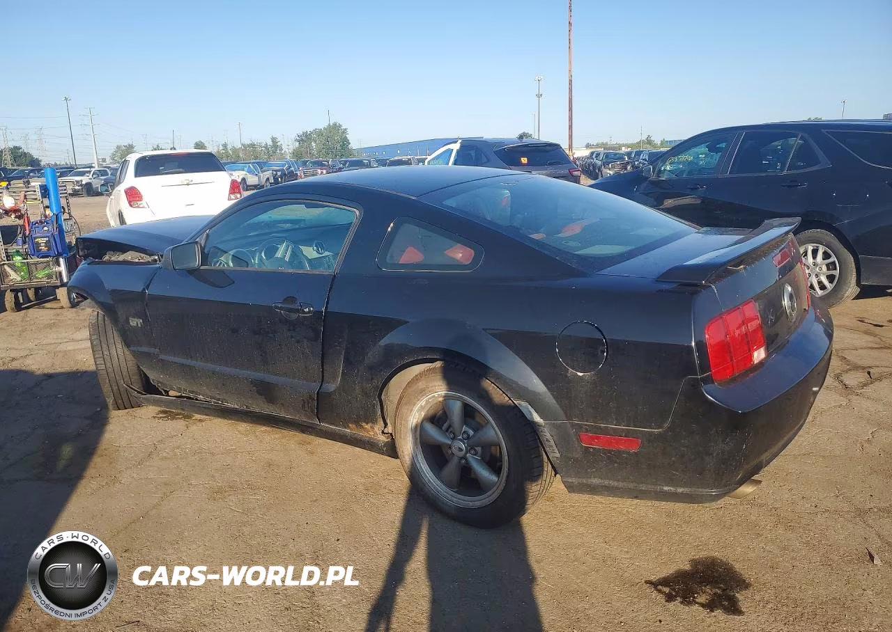 2005 Ford Mustang Gt VIN:1ZVHT82H455196771 - 2