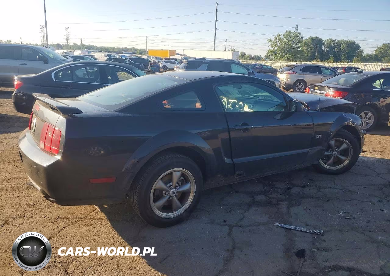 2005 Ford Mustang Gt VIN:1ZVHT82H455196771 - 3