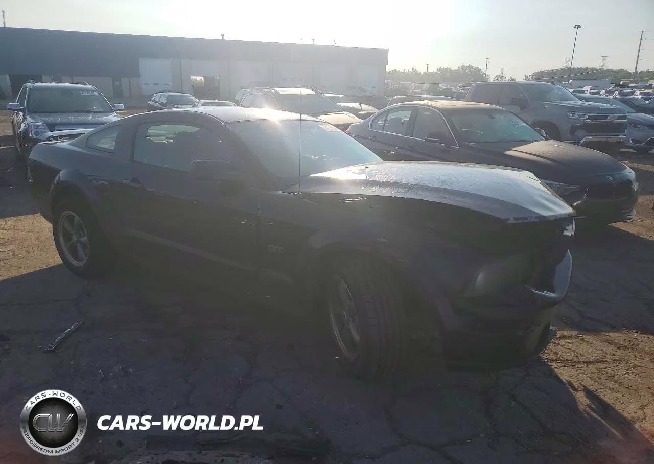 2005 Ford Mustang Gt VIN:1ZVHT82H455196771 - 4