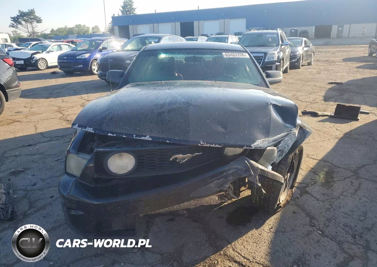 2005 Ford Mustang Gt VIN:1ZVHT82H455196771 - 5