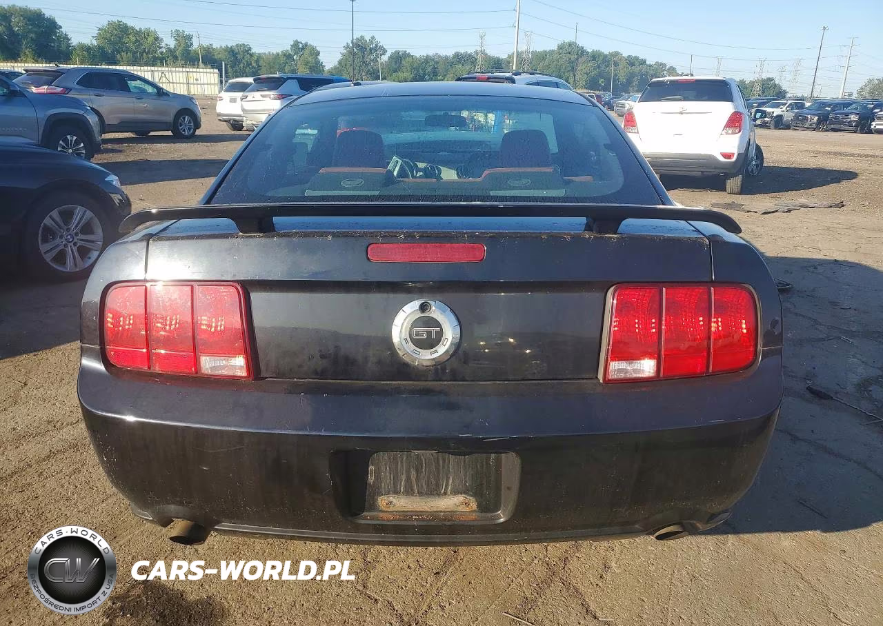 2005 Ford Mustang Gt VIN:1ZVHT82H455196771 - 6