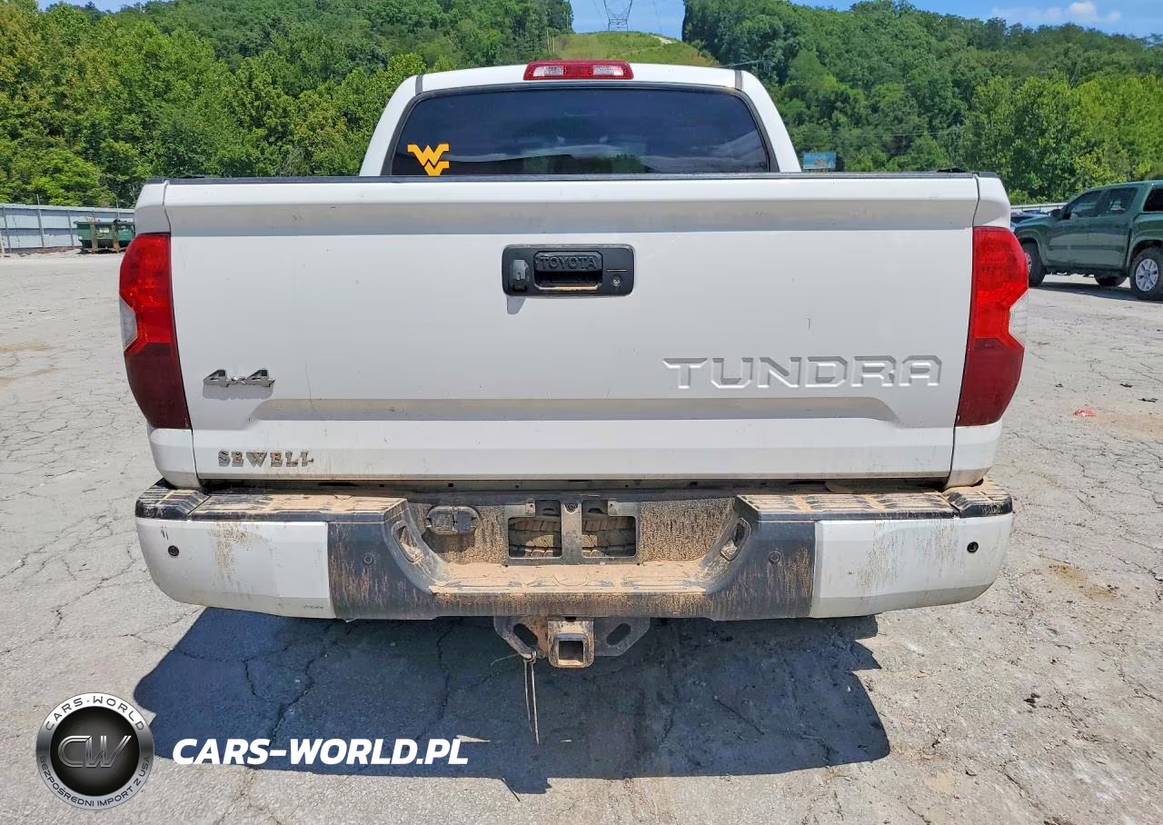 2018 Toyota Tundra 1794 Edition VIN:5TFAW5F17JX744896 - 6