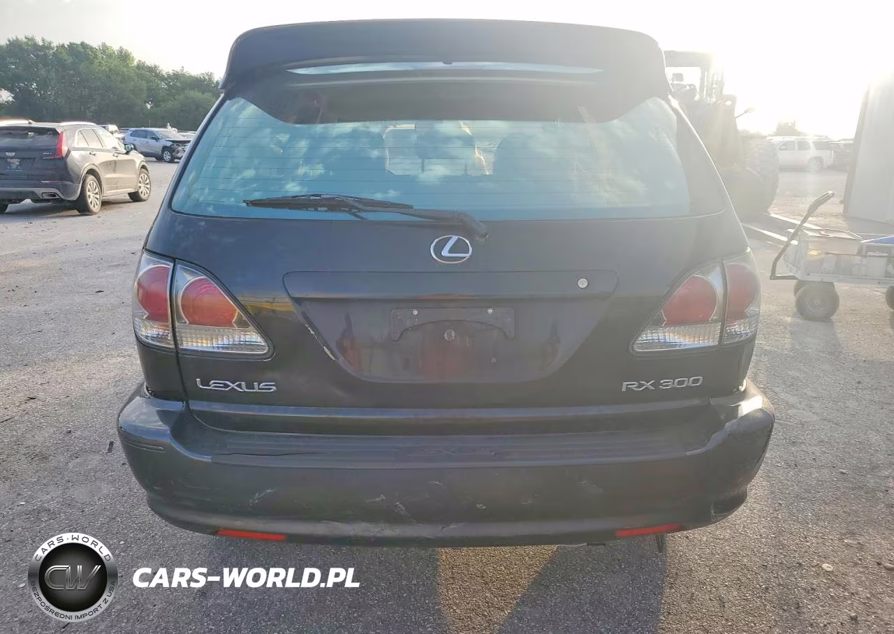 2001 Lexus Rx 300 VIN:JTJHF10U510227225 - 6