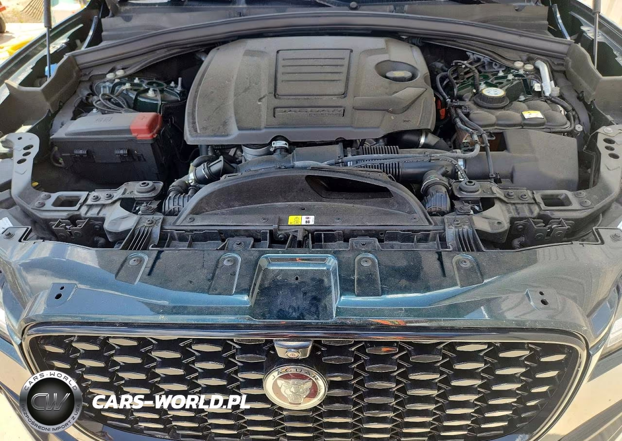 2021 Jaguar F-Pace S VIN:SADCJ2EX7MA671455 - 12