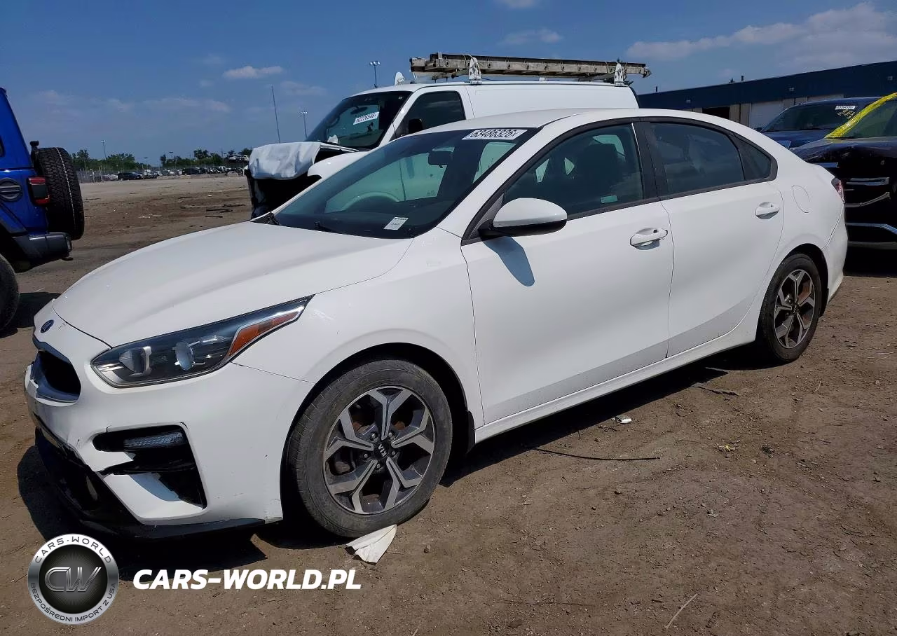 2019 Kia Forte Lxs