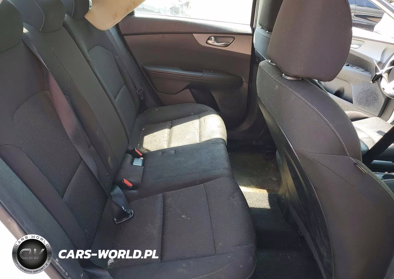 2019 Kia Forte Lxs VIN:3KPF24AD2KE074916 - 10
