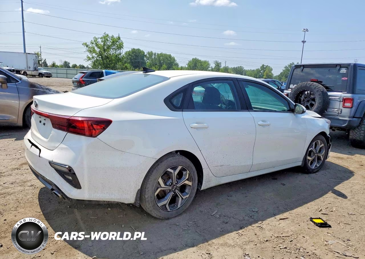 2019 Kia Forte Lxs VIN:3KPF24AD2KE074916 - 3