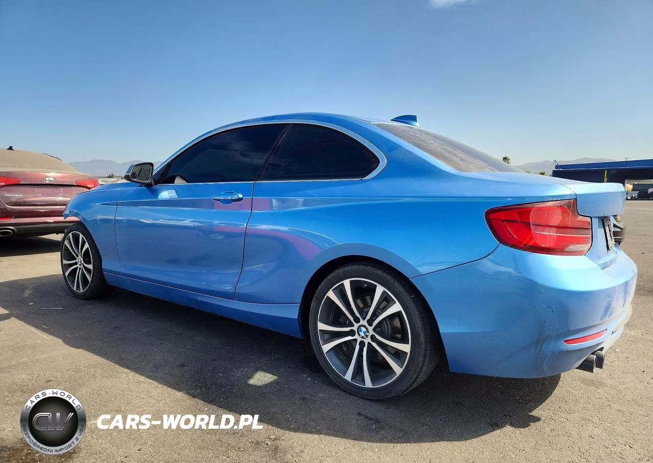 2018 BMW 230I VIN:WBA2J1C55JVD09406 - 2