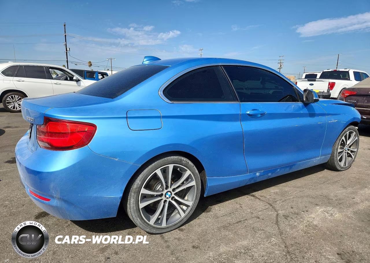 2018 BMW 230I VIN:WBA2J1C55JVD09406 - 3