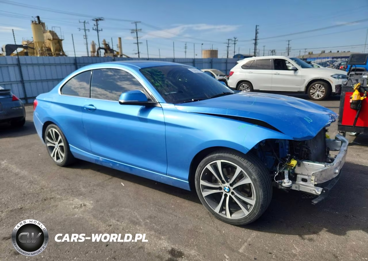 2018 BMW 230I VIN:WBA2J1C55JVD09406 - 4
