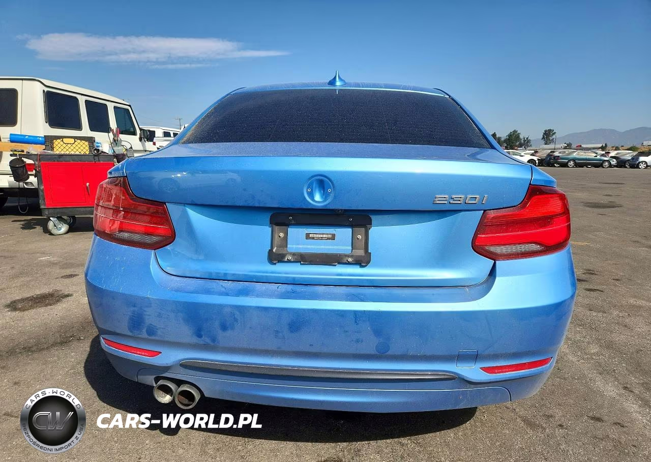 2018 BMW 230I VIN:WBA2J1C55JVD09406 - 6