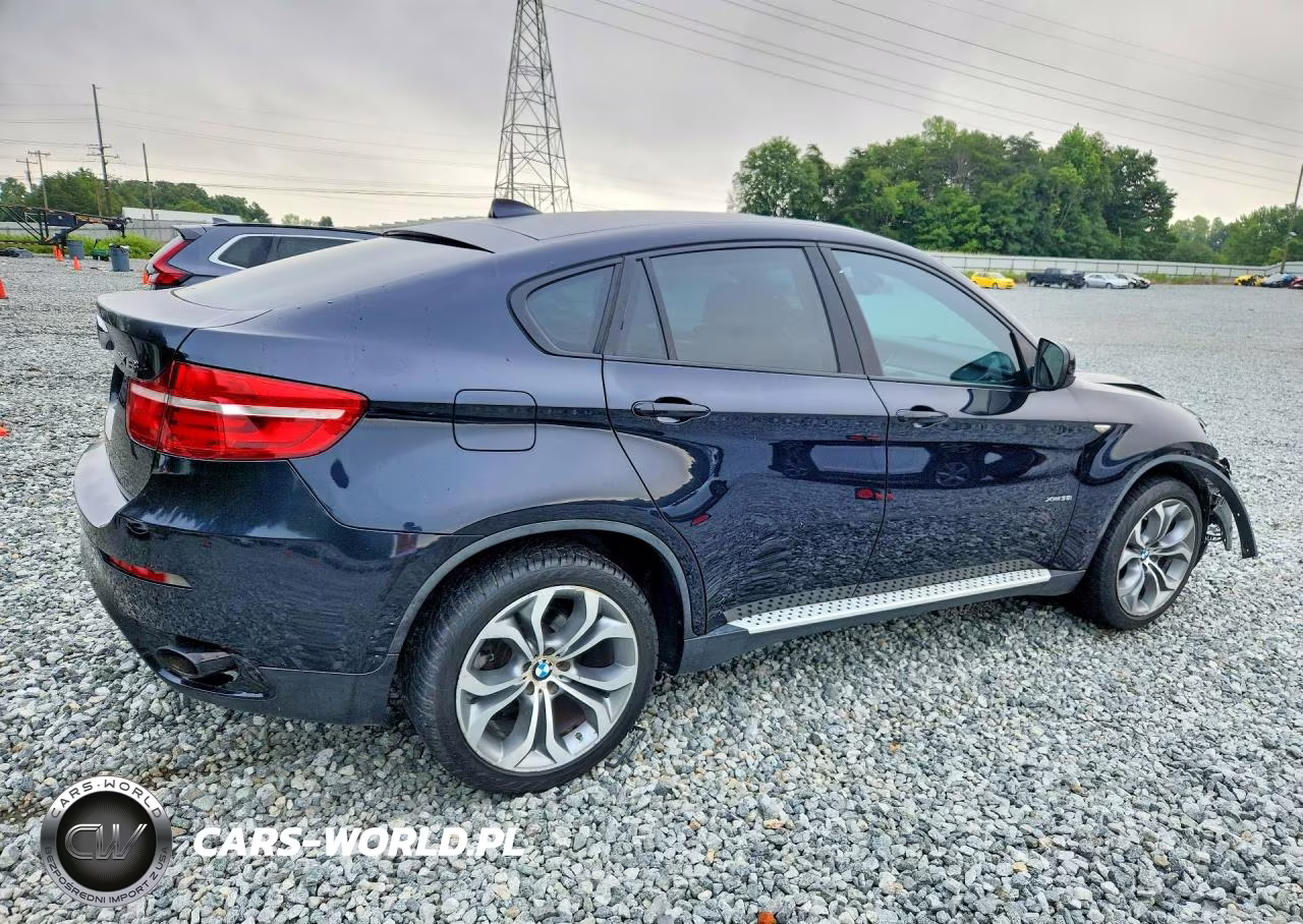 2013 BMW X6 xDrive35I VIN:5UXFG2C56DL788214 - 3