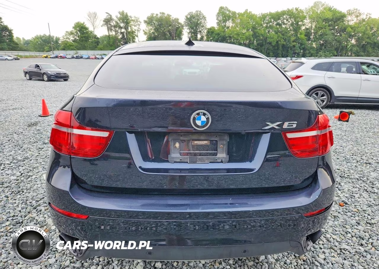 2013 BMW X6 xDrive35I VIN:5UXFG2C56DL788214 - 6