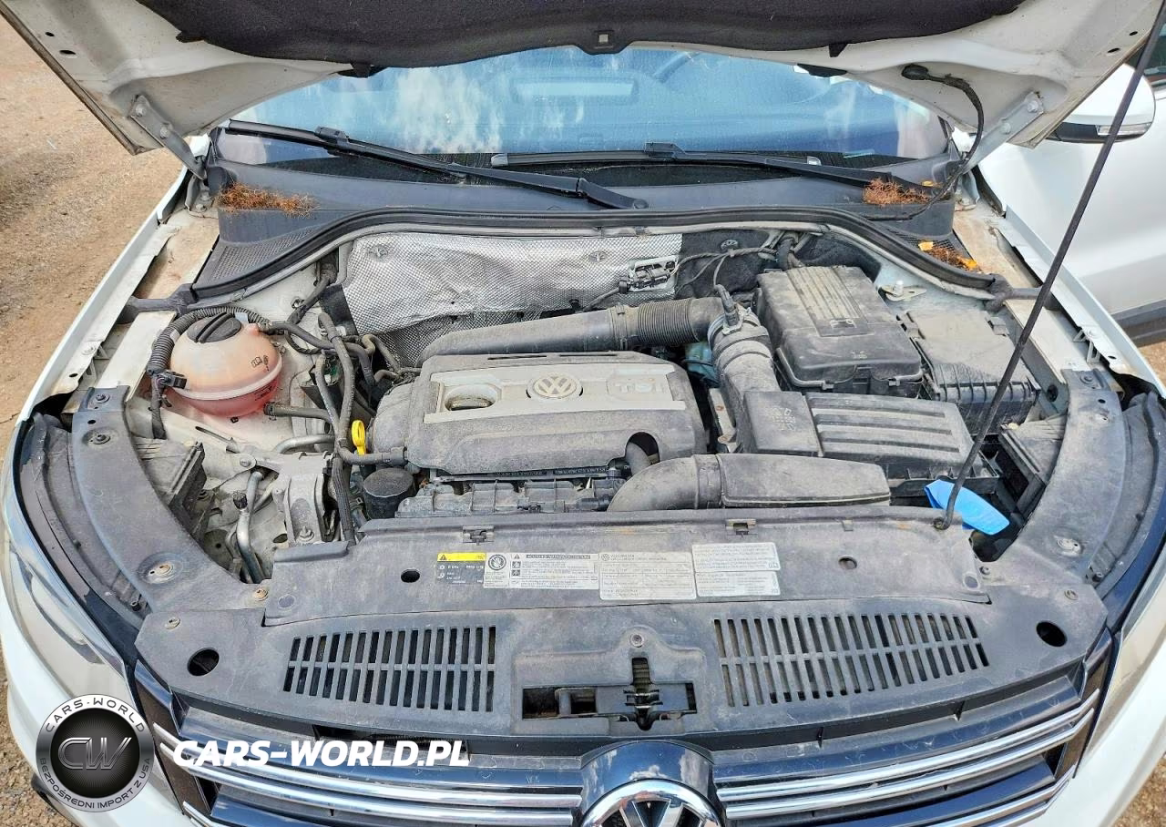 2016 Volkswagen Tiguan S VIN:WVGBV7AX6GW581103 - 11