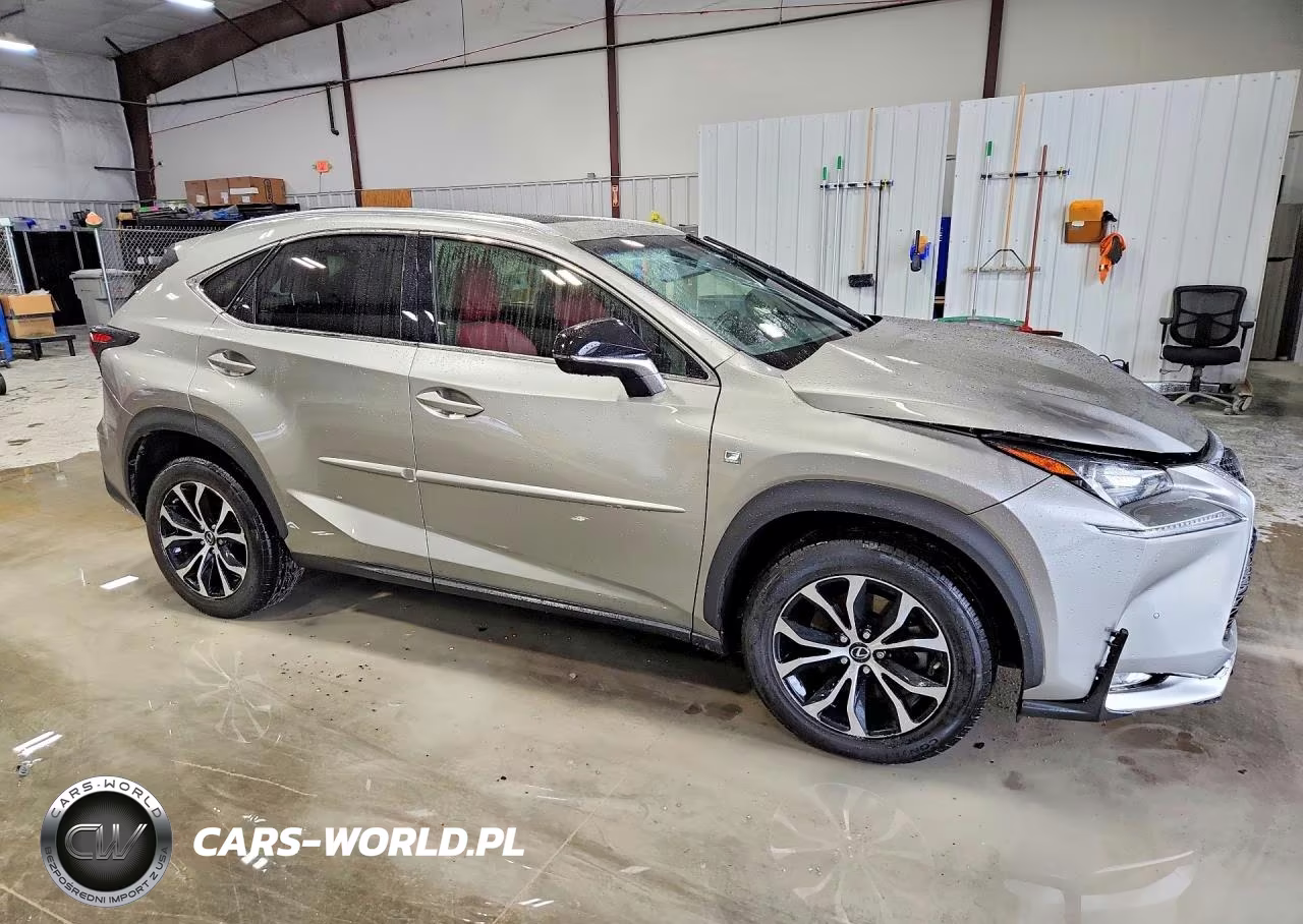 2016 Lexus Nx 200T F Sport VIN:JTJBARBZ5G2094913 - 4