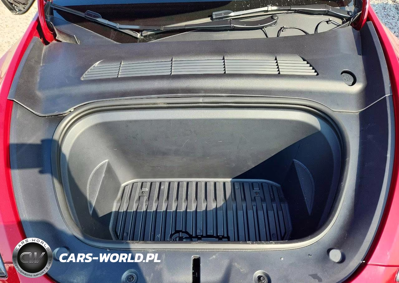 2023 Tesla Model Y VIN:7SAYGDEEXPF808199 - 11