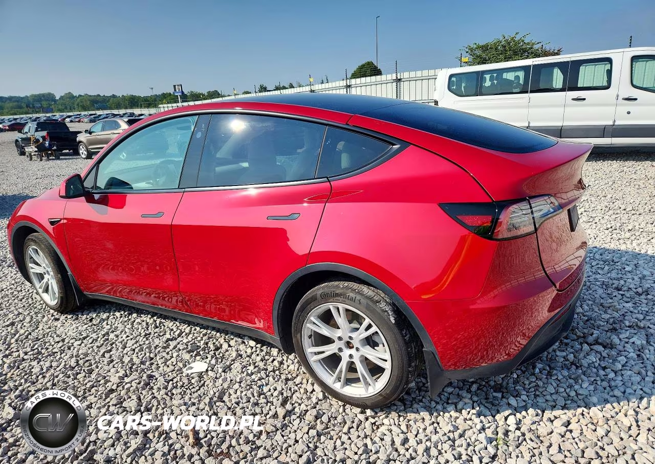 2023 Tesla Model Y VIN:7SAYGDEEXPF808199 - 2