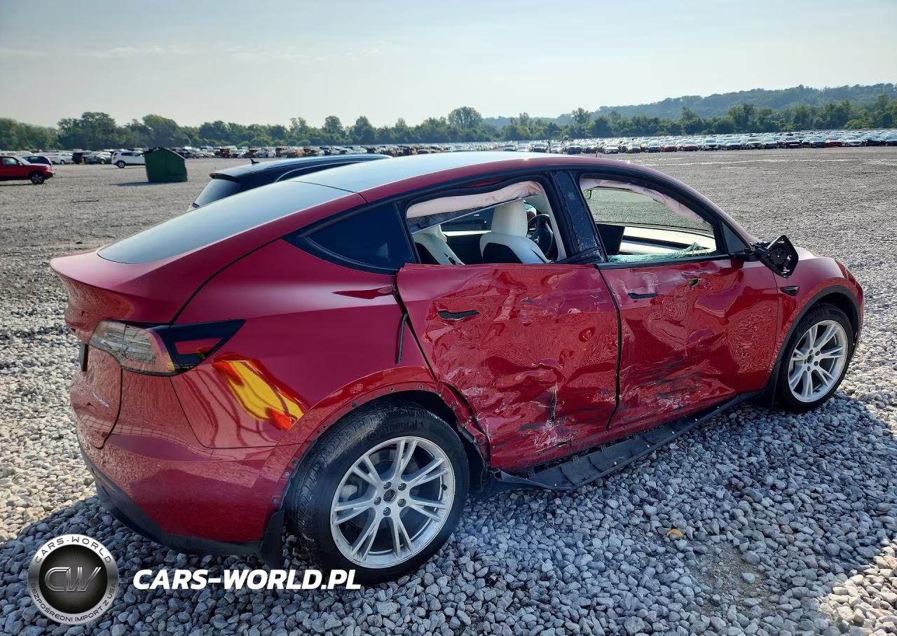 2023 Tesla Model Y VIN:7SAYGDEEXPF808199 - 3