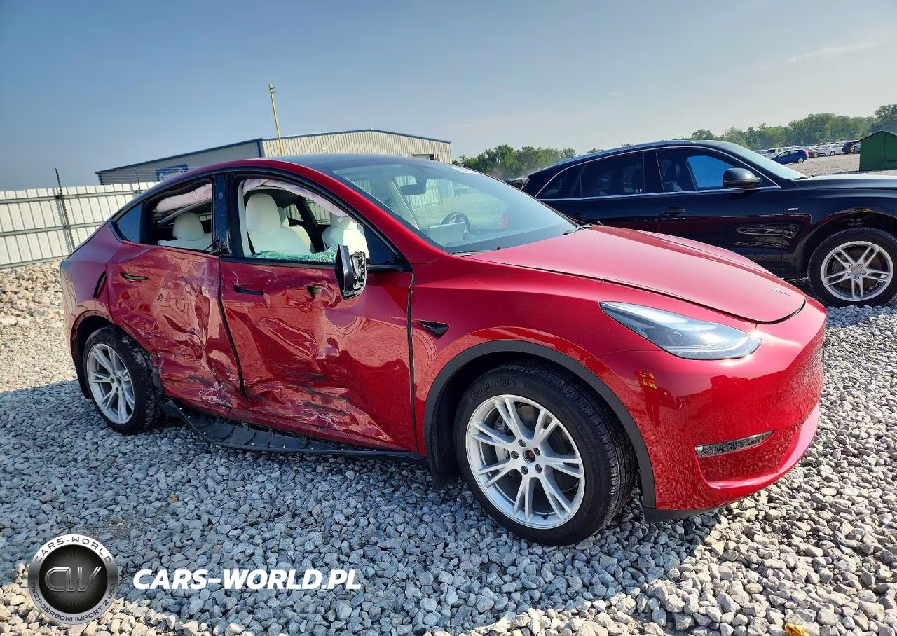 2023 Tesla Model Y VIN:7SAYGDEEXPF808199 - 4