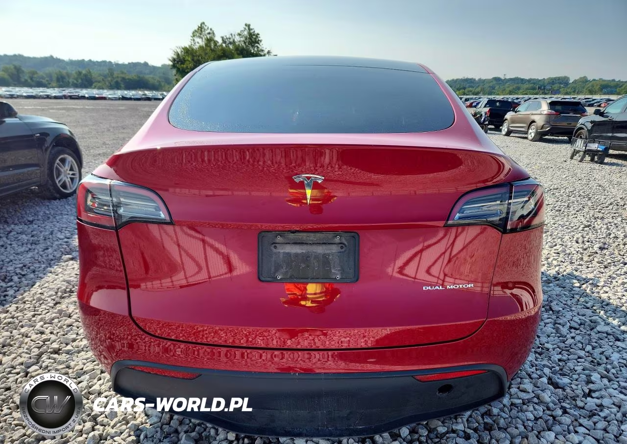 2023 Tesla Model Y VIN:7SAYGDEEXPF808199 - 6