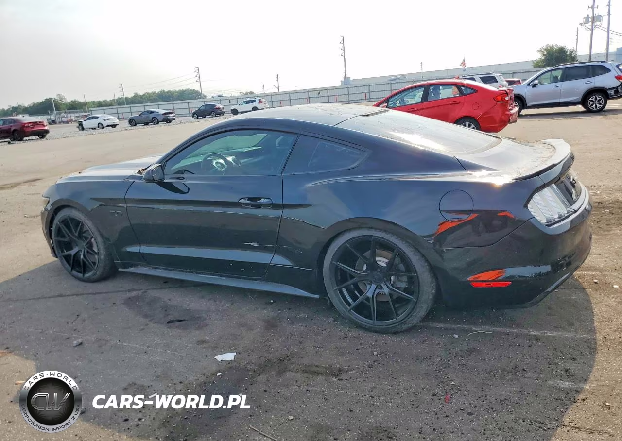 2016 Ford Mustang Gt VIN:1FA6P8CF7G5201594 - 2