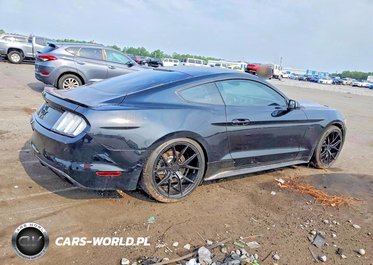 2016 Ford Mustang Gt VIN:1FA6P8CF7G5201594 - 3